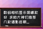显示器四边发绿问题解决方案（消除显示器四边发绿的技巧与建议）