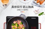 电磁炉带电的原因及预防方法（探究电磁炉带电的危害和保护措施）