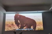 投影仪的远场语音功能是什么？它如何提升用户体验？