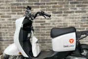 中立锂电车充电器使用方法是什么？