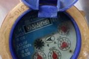 解决水表显示器故障的方法（故障排除及维修技巧）