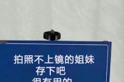 手机壳红底照拍照姿势如何设置？