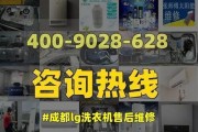 解决LG洗衣机面板失灵的维修方法（快速修复您的LG洗衣机面板问题）