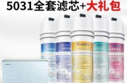 格力净水器废水处理问题解决方案（环保可持续发展的关键）