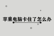 家用电脑卡顿怎么解决（教你轻松解决家庭电脑卡顿的问题）