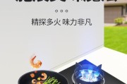 燃气灶打不着火（轻松解决燃气灶无法点火的问题）