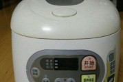 电饭煲没有插电的原因及解决方法（探寻电饭煲无法正常工作的可能原因）