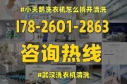 美白洗衣机的使用方法与注意事项（彻底洁净衣物）