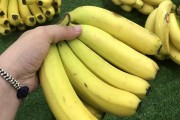 冰柜表皮破损修复方法（冰柜表皮破损修复的实用技巧与注意事项）