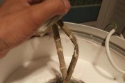 电热水器爆炸的原因分析（探究电热水器爆炸背后的隐患与安全问题）