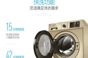 白天鹅牌洗衣机的清洗方法（轻松保持洗衣机清洁与功能稳定）