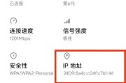 如何将路由器设置为主题（详解路由器设置步骤及注意事项）
