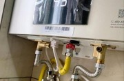 热水器维修指南（学会正确维护热水器）