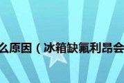 冰箱制冷剂泄漏的原因及解决方法（探索冰箱制冷剂泄漏的成因）