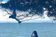 旅游时如何用手机拍出好自拍？自拍技巧有哪些？