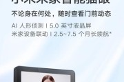 自制家庭智能音箱的使用方法是什么？有哪些特点？