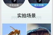 手机加外置直播摄像头怎么设置？设置步骤是什么？