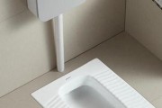 蹲式马桶堵了怎么办（解决蹲式马桶堵塞的简单方法）
