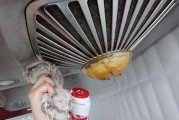 厨房油烟机难清理的原因（油烟污染引发的厨房油烟机清洁难题）