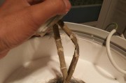 热水器侧边生锈的问题及解决方法（应对热水器侧边生锈的有效措施）