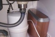 净水器无法冲水的原因与解决方法（揭秘净水器无法冲水的常见问题及解决技巧）