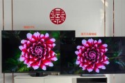 电视机有声音暗沉的原因与解决方法（探究电视机声音暗沉的根源）