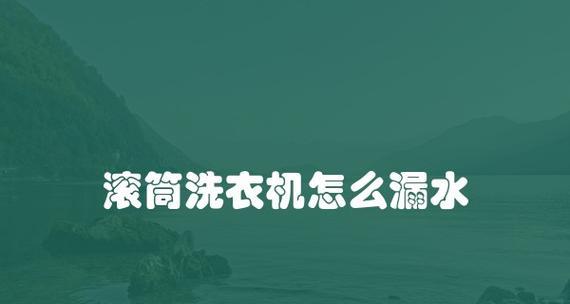 洗衣机进水管漏水的原因及解决方法（探究洗衣机进水管漏水的原因）