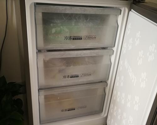 风冷无霜冰箱的卓越性能与优势（一种节能环保）