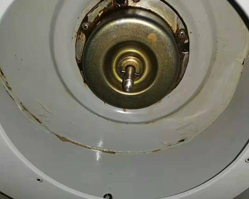 白天鹅牌洗衣机使用指南（轻松洗净衣物）