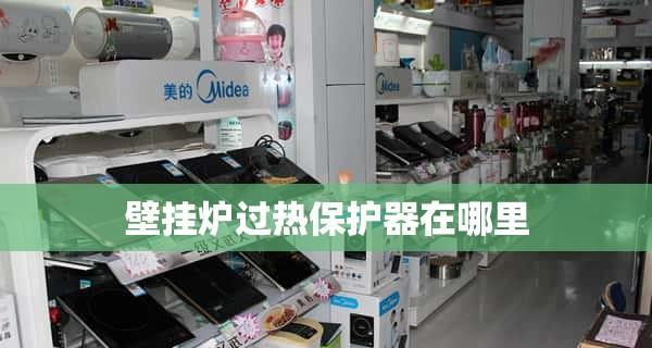 澳柯玛壁挂炉出现过热故障原因分析（探究澳柯玛壁挂炉过热故障的原因与解决方法）