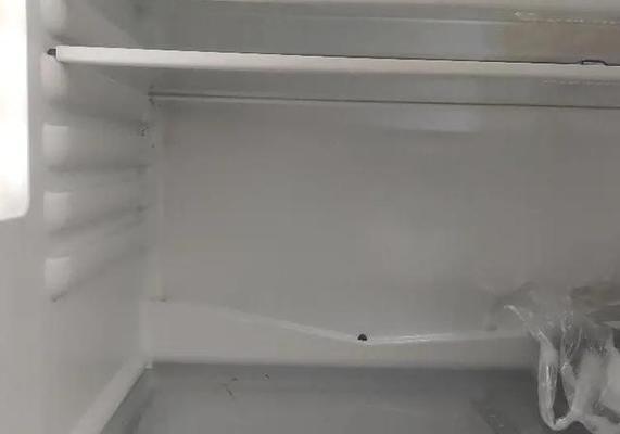 冰柜冻冰处理的技巧及注意事项（保持食物新鲜和安全的关键技巧）