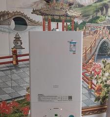 壁挂炉无法点火的原因及解决方法（壁挂炉点不着火？别急）