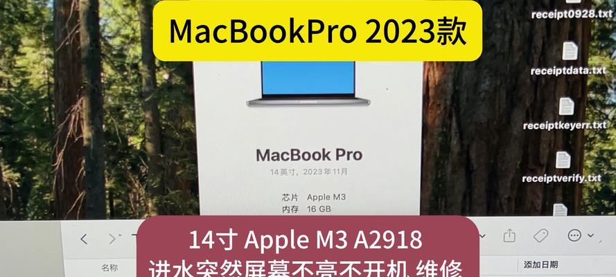 笔记本电脑灰屏问题的常见原因是什么？