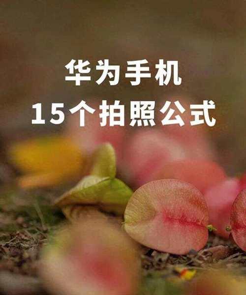 华为新款手机拍照怎么设置？