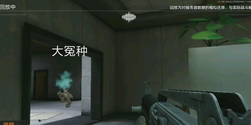 鸡哥训练服务器无法进入怎么办？