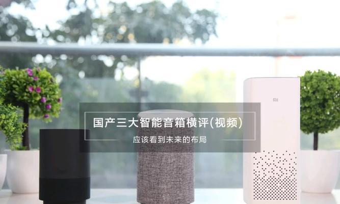 自制家庭智能音箱的使用方法是什么？有哪些特点？