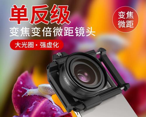 单反相机拍虫子用什么镜头？最佳选择是什么？