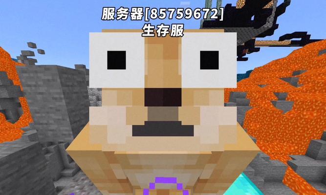生存服务器新手如何开始？